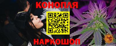 прущие грибы Краснознаменск