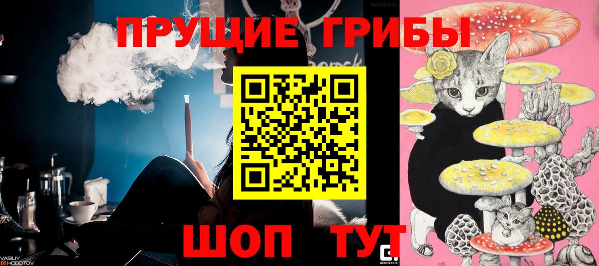 Щёлково  Псилоцибиновые грибы GOLDEN TEACHER  купить наркоту  Вход с VPN 